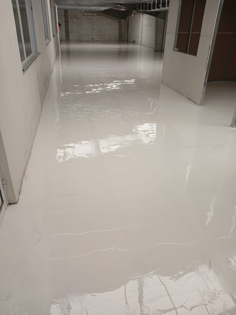 Proyecto sanitario 2